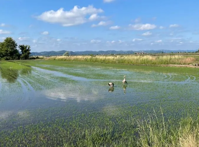 Nocleg ze śniadaniem Tenuta Favorita 4*